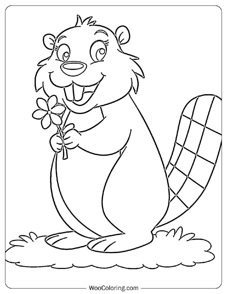 Adorable Beaver