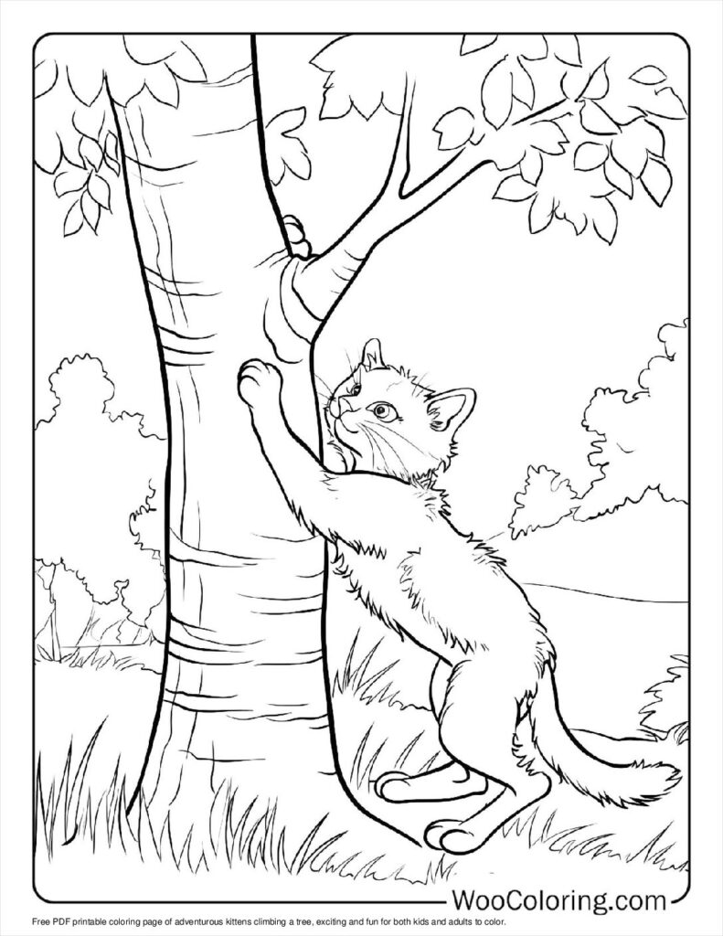 100  Kitten coloring pages  Free PDF To Print  - 83