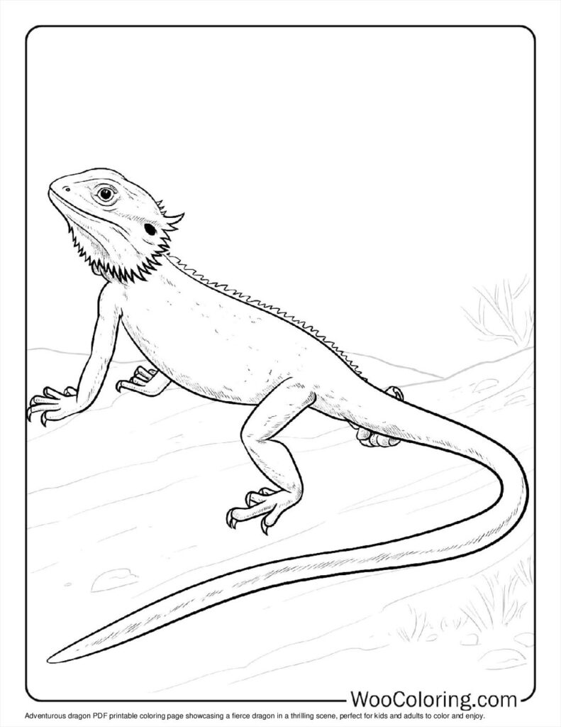 Adventurous Dragon Coloring Page For Kids