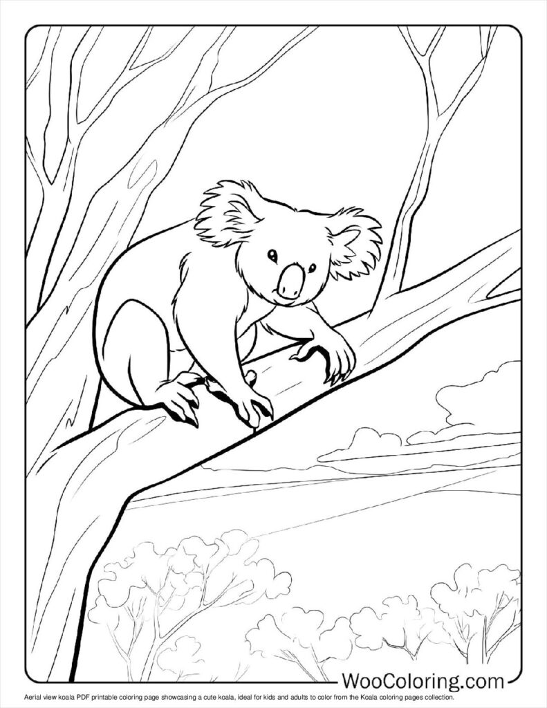 100  Koala coloring pages  Free PDF To Print  - 71