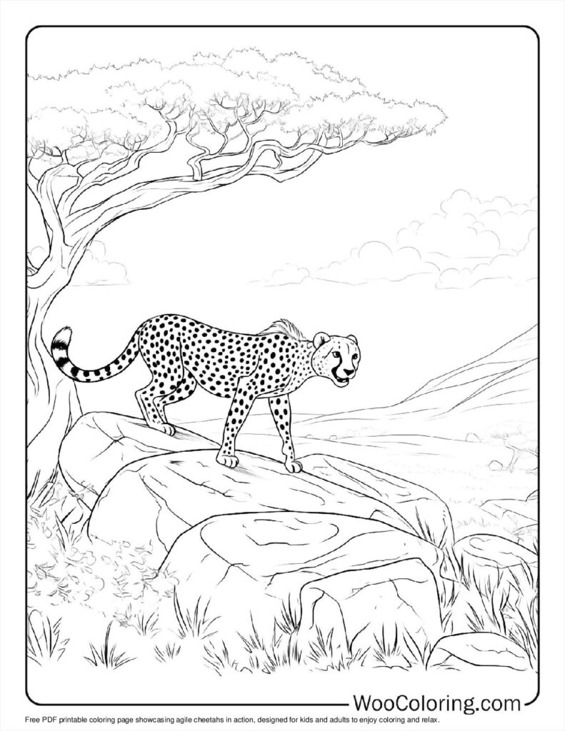 100  Cheetah coloring pages  Free PDF To Print  - 62