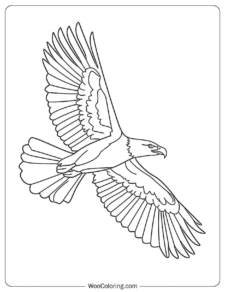 100  Bald Eagle coloring pages  Free PDF To Print  - 70