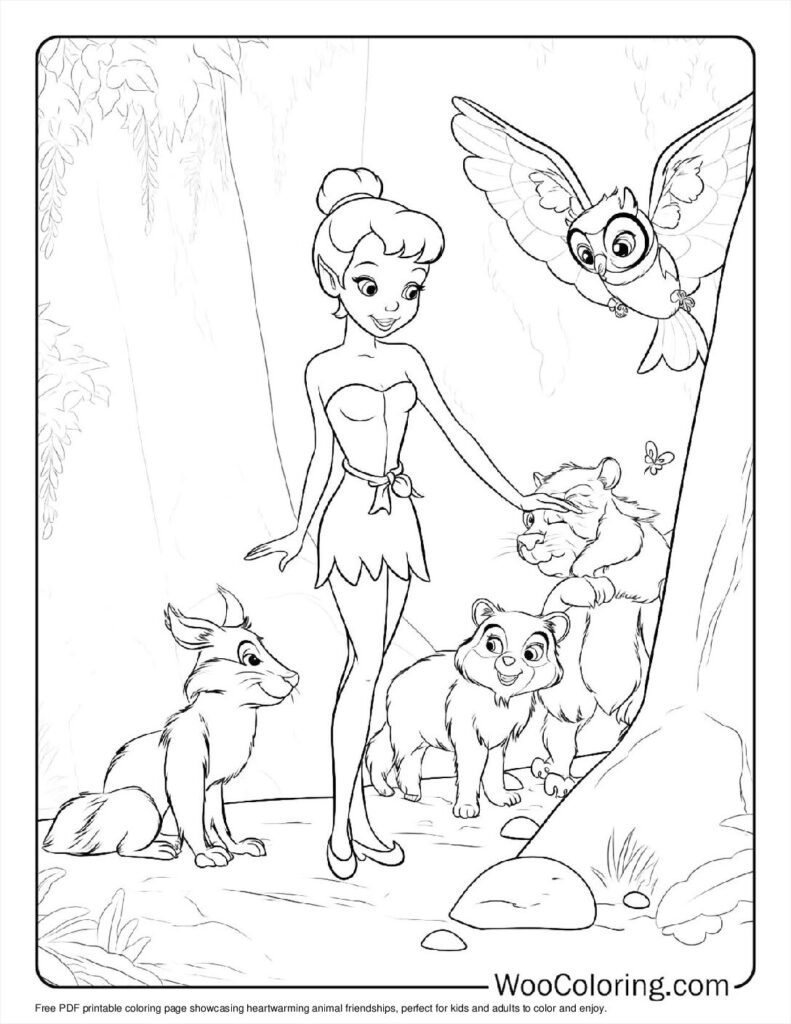 Animal Friendships