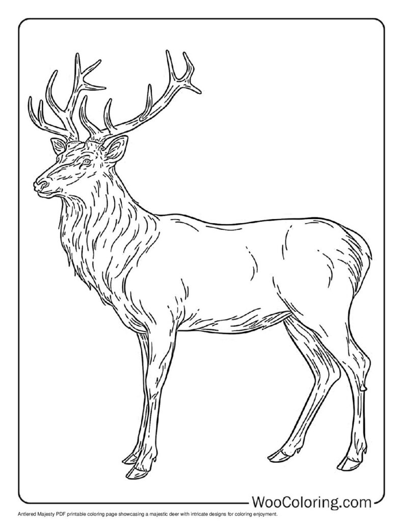 100  Deer coloring pages  Free PDF To Print  - 7