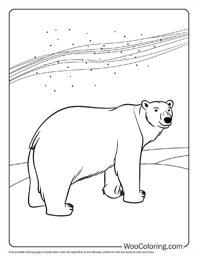 100  Polar Bear coloring pages  Free PDF To Print  - 63