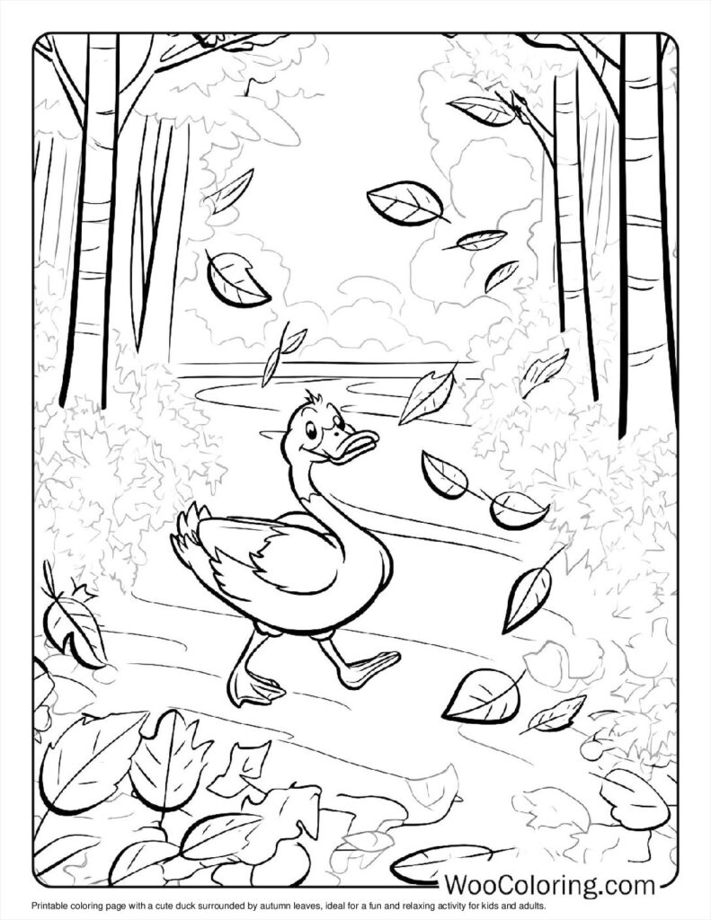 100  Duck coloring pages  Free PDF To Print  - 4