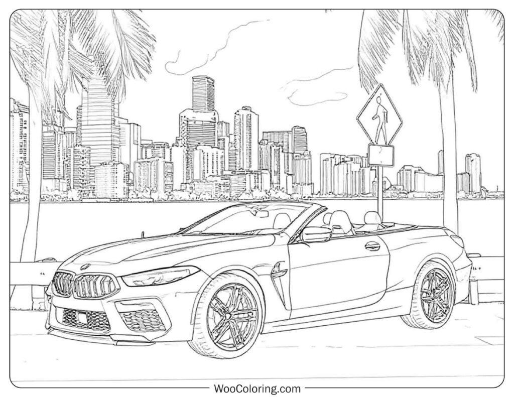 BMW Convertible at the Beach