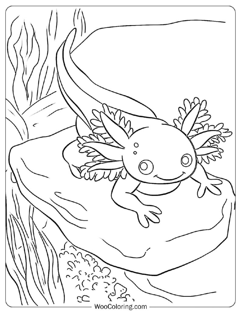 Baby Axolotl
