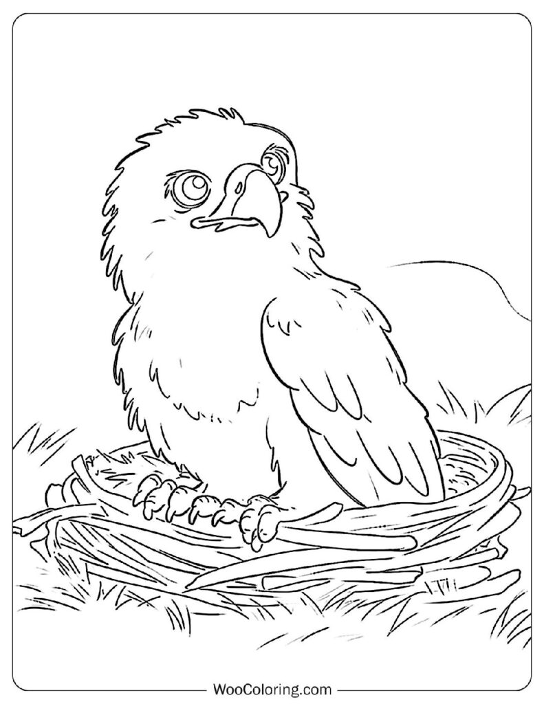 100  Bald Eagle coloring pages  Free PDF To Print  - 32
