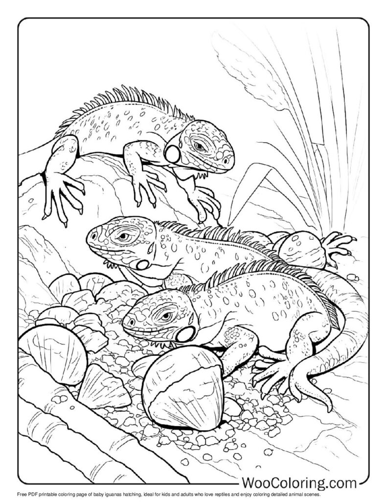 100+ Iguana coloring pages (Free PDF To Print) Woo Coloring