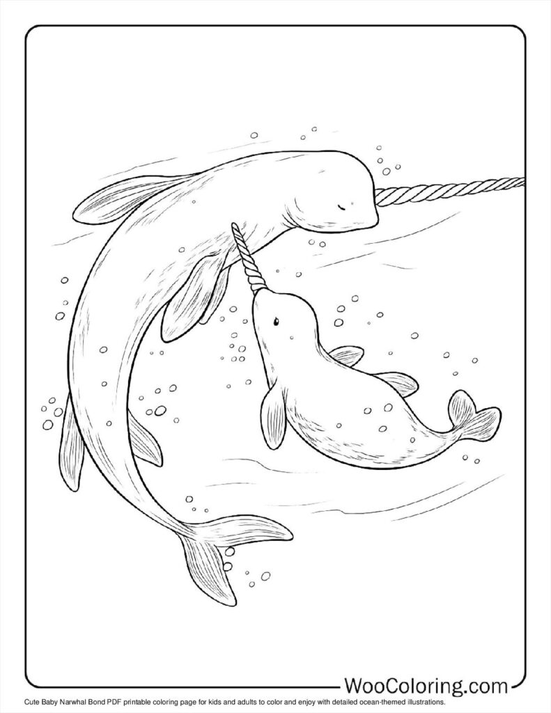 100  Narwhal coloring pages  Free PDF To Print  - 50