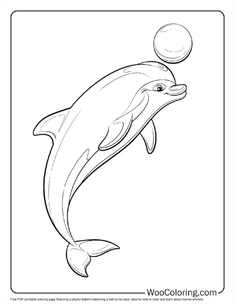 100  Dolphin coloring pages  Free PDF To Print  - 60