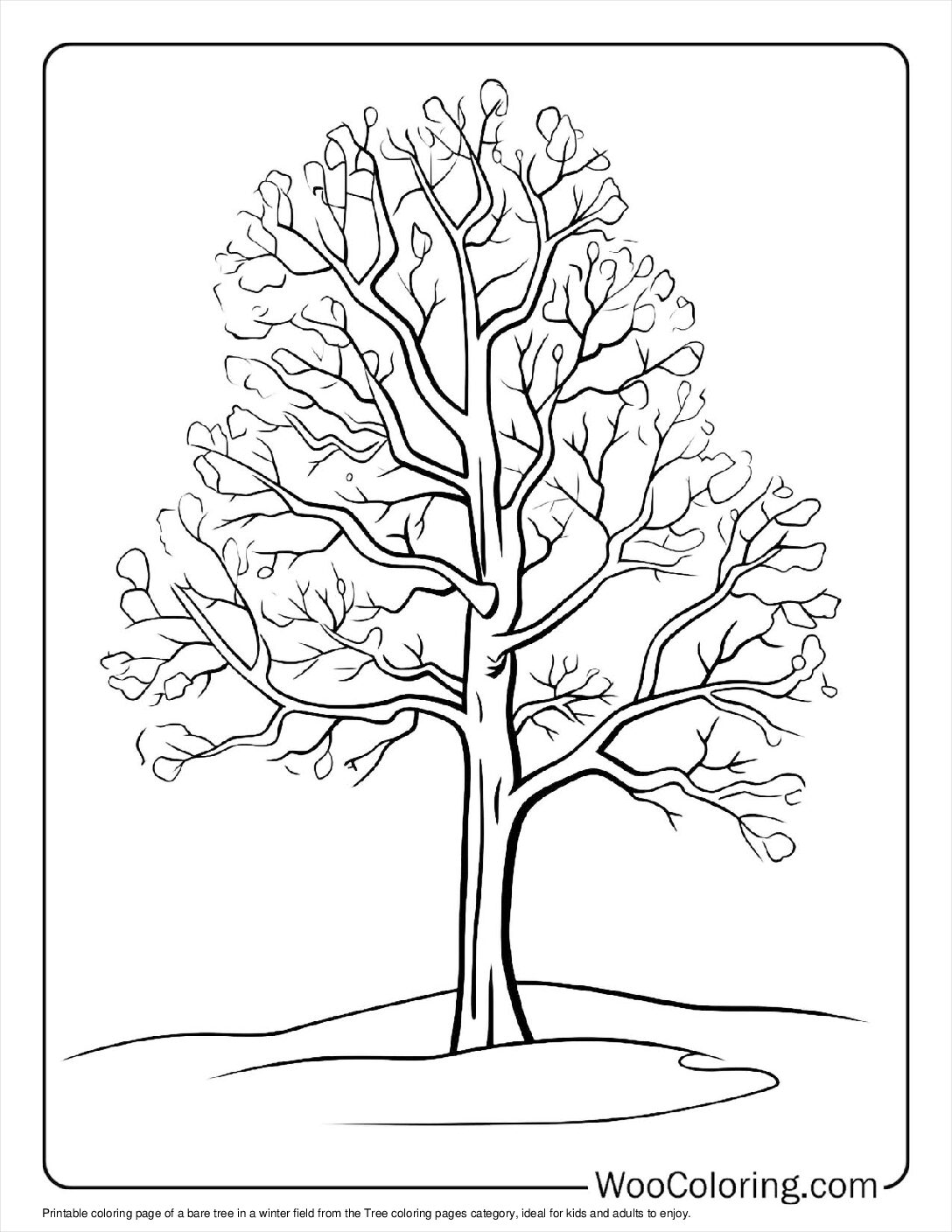 100+ Tree coloring pages (Free PDF To Print) | Woo Coloring