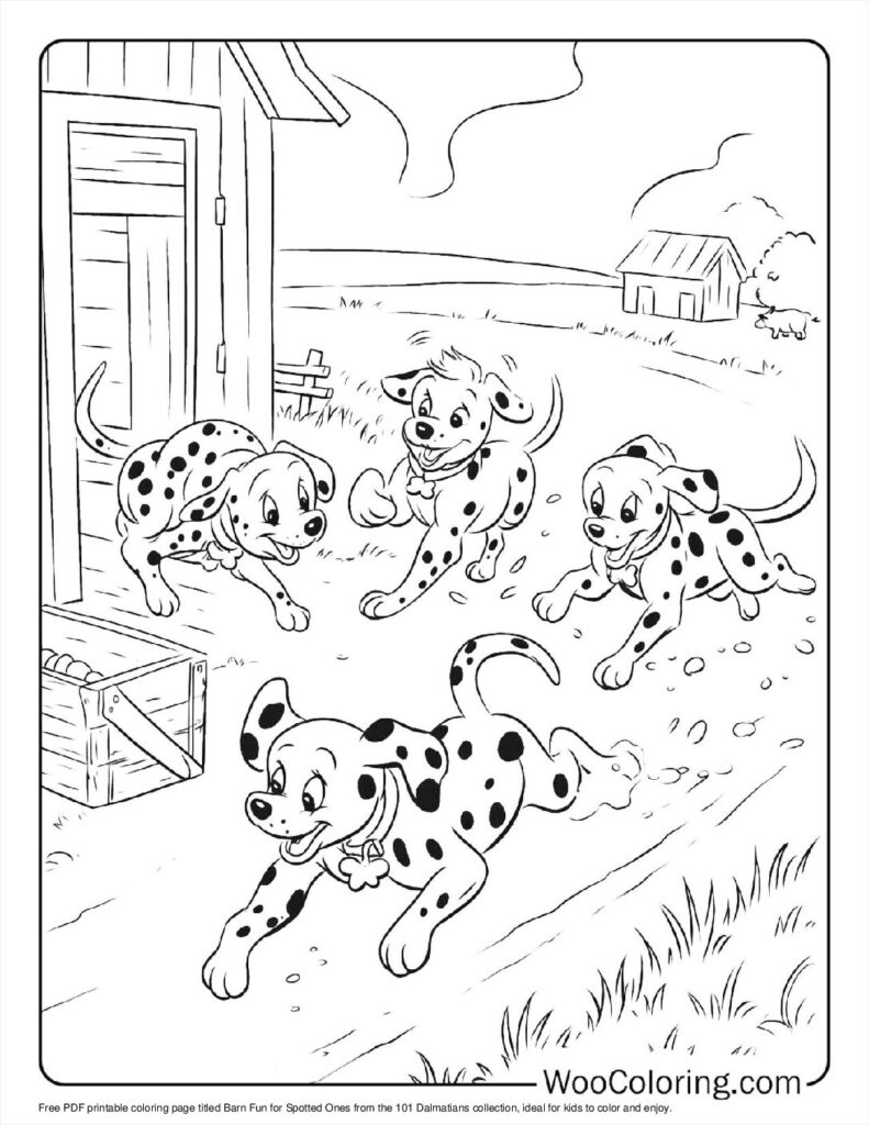 Barn Fun for Spotted Ones