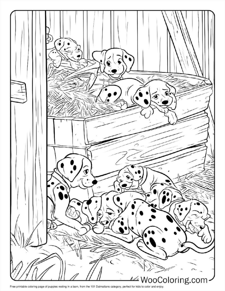 Barnside Rest for Puppies