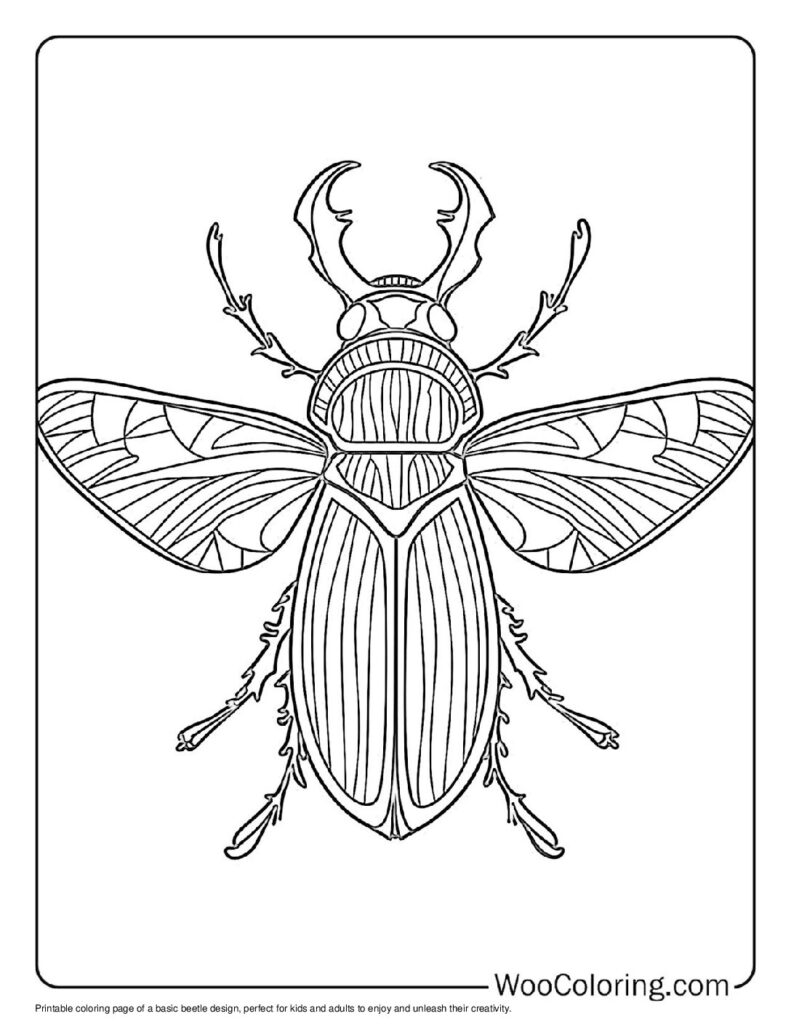 Basic Beetle For Kids