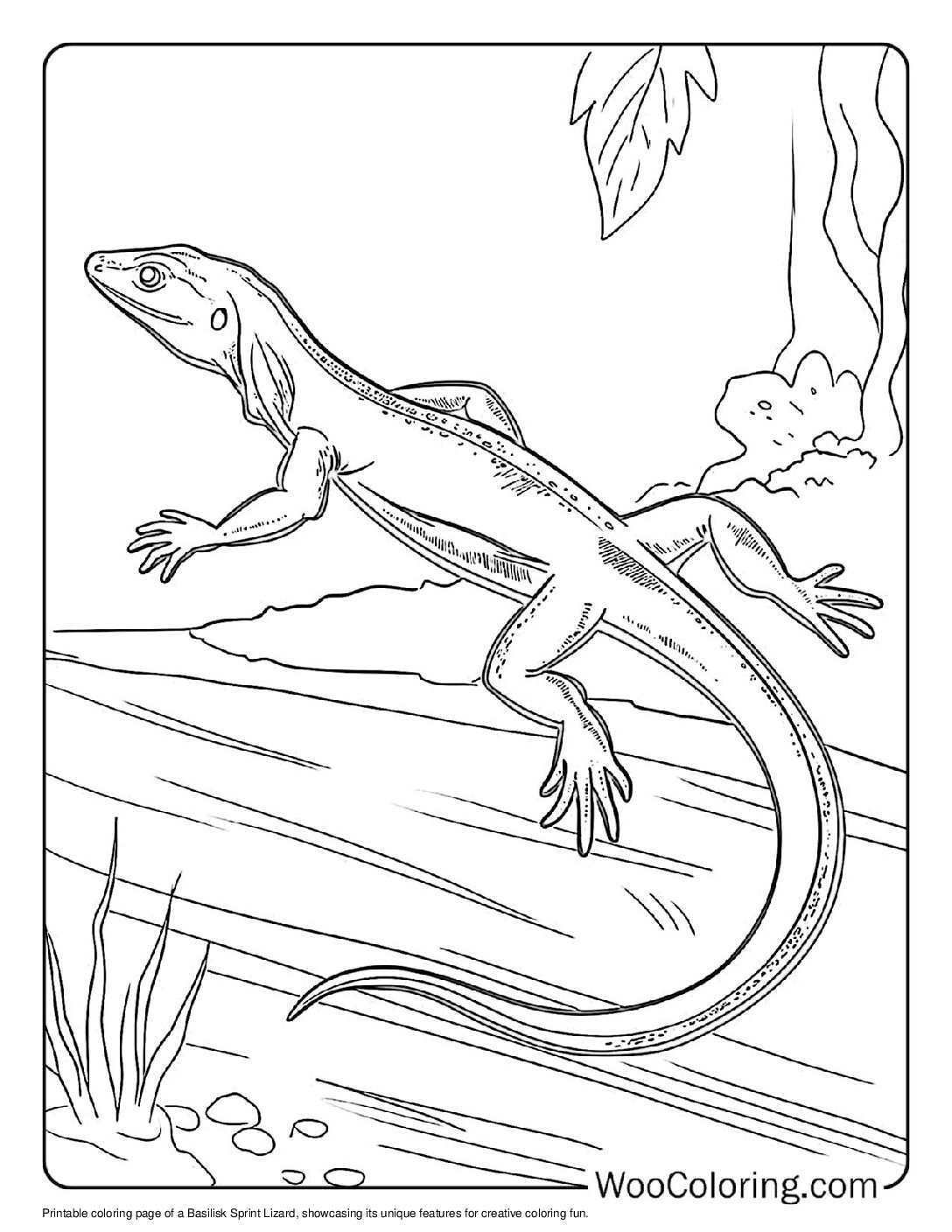 100+ Lizard coloring pages (Free PDF To Print) | Woo Coloring