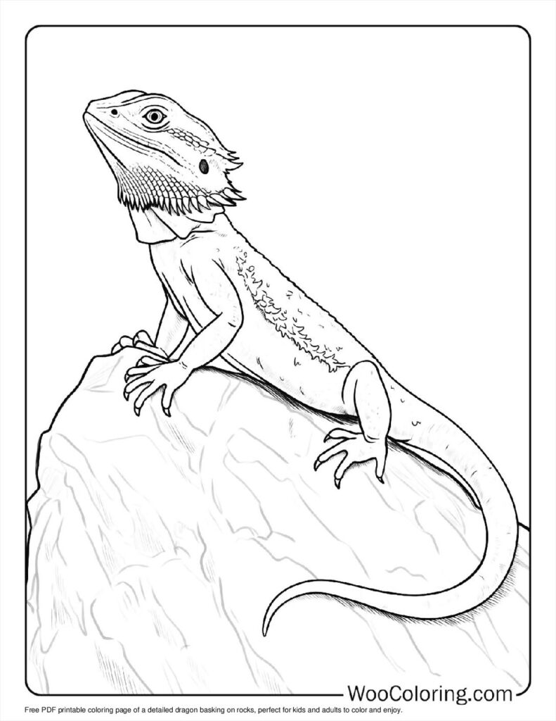 Basking Dragon (1)