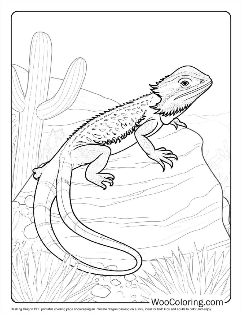 Basking Dragon