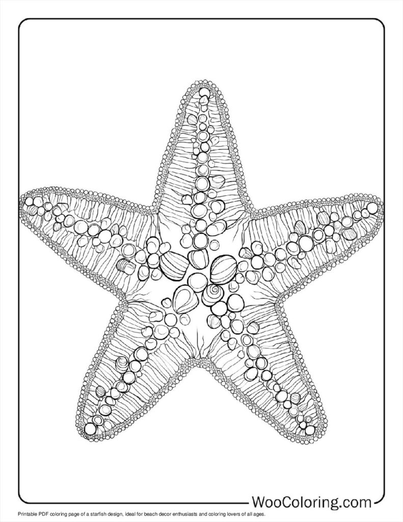 100  Starfish coloring pages  Free PDF To Print  - 89