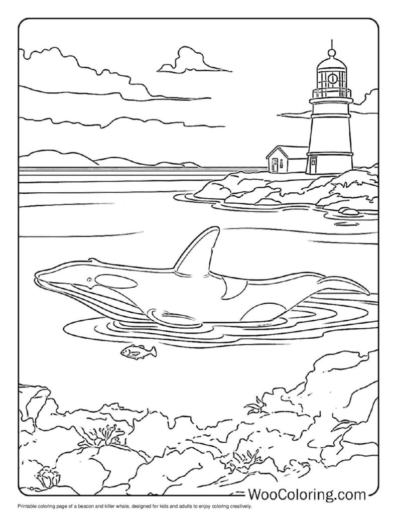 100  Killer Whale coloring pages  Free PDF To Print  - 88