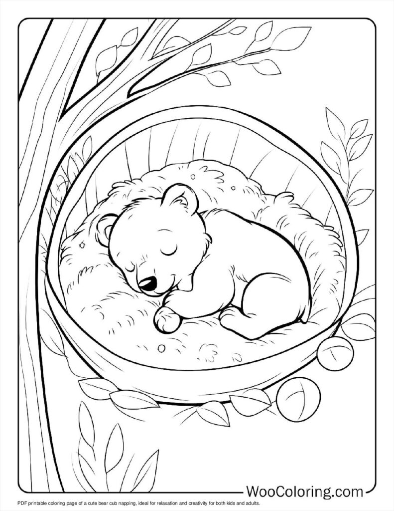 Bear Cub's Nap For Kids