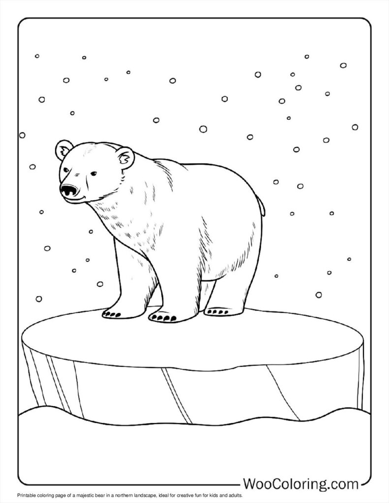 Bear of the North