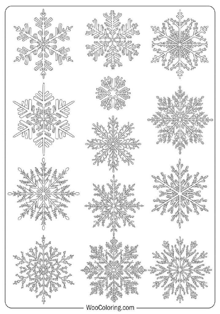 Beautifully Detailed Snowflake Shapes and Patterns for a Art Project