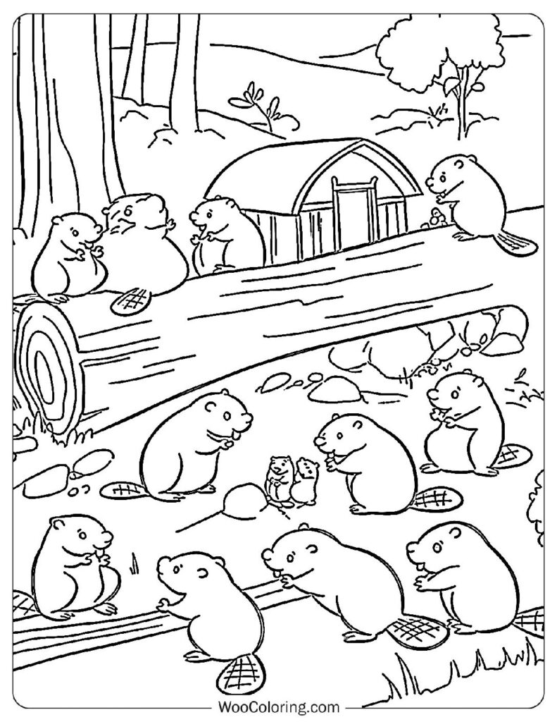 Beaver Family