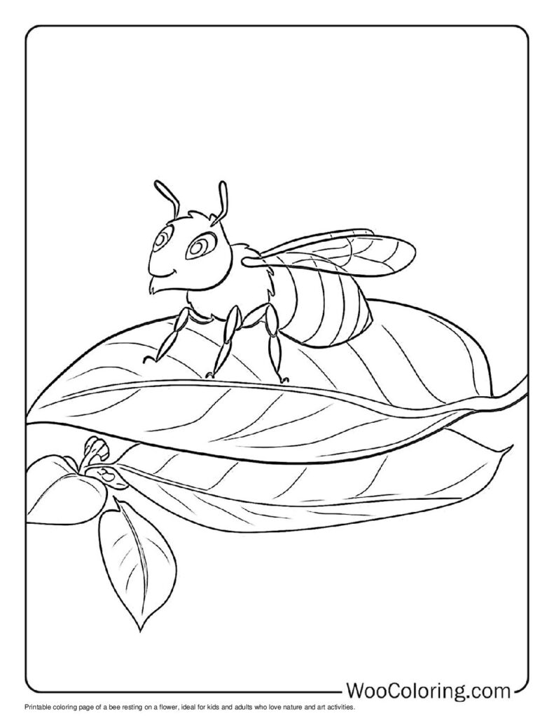 Bee's Pause