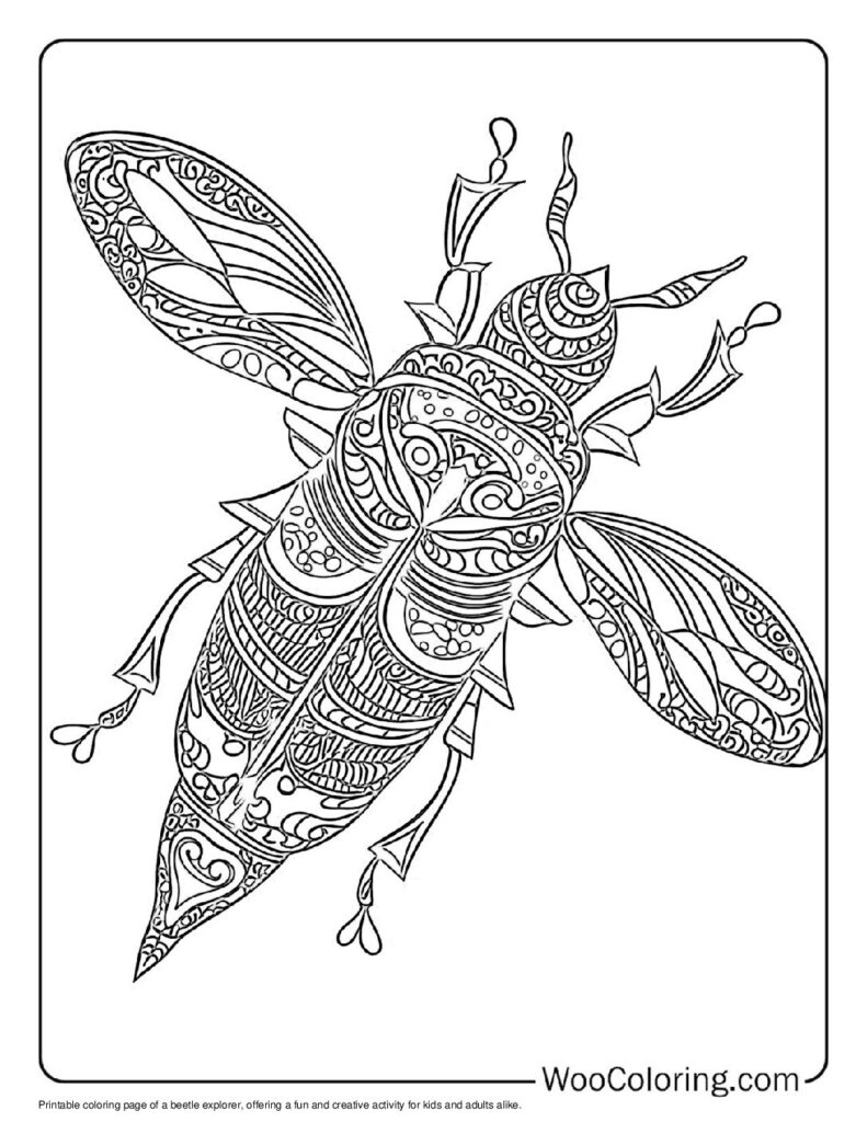 Beetle Explorer