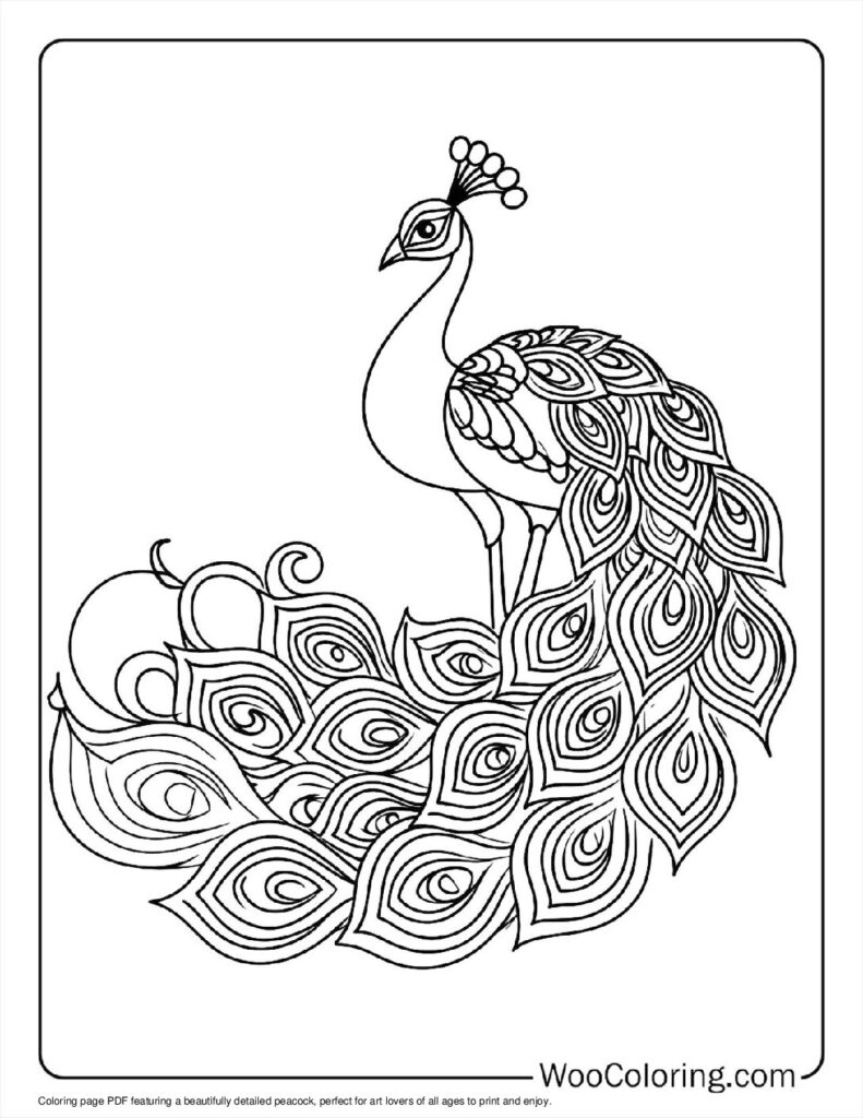 100  Peacock coloring pages  Free PDF To Print  - 9