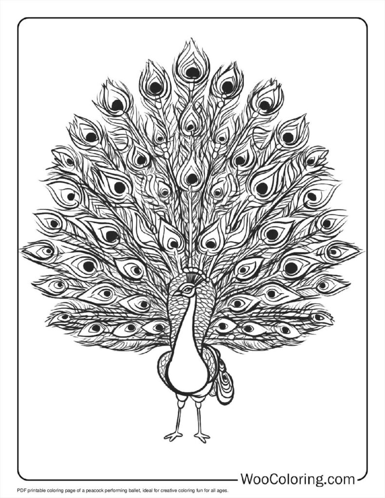 100  Peacock coloring pages  Free PDF To Print  - 83