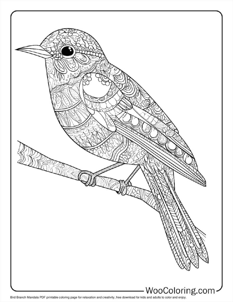 Bird Branch Mandala To Color