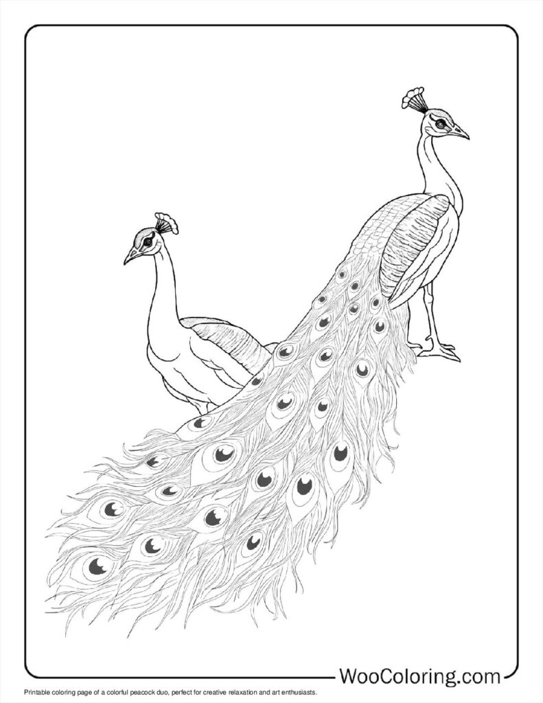 100  Peacock coloring pages  Free PDF To Print  - 40