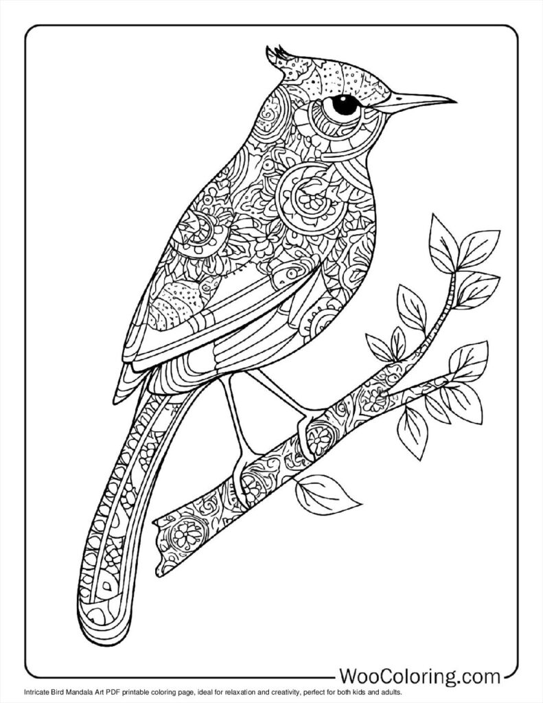 Bird Mandala Art Coloring Page For Kids