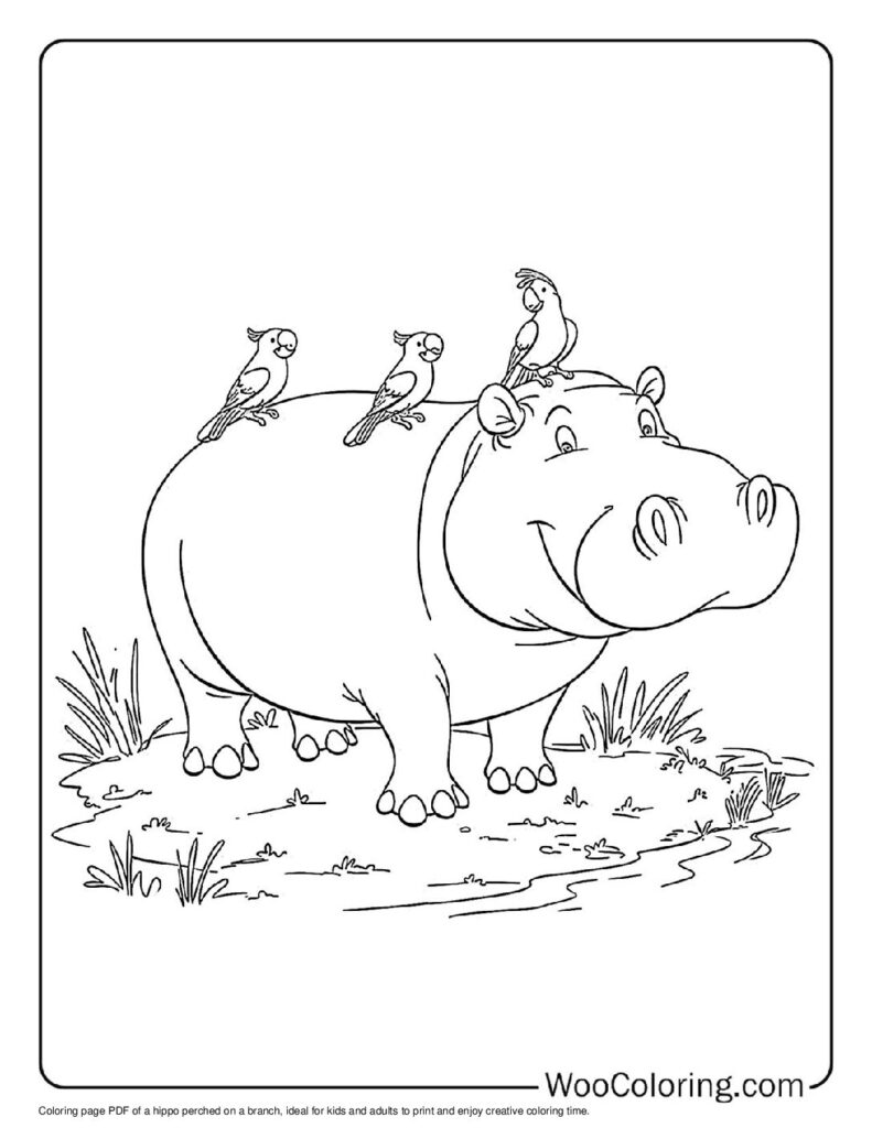 100  Hippo coloring pages  Free PDF To Print  - 68