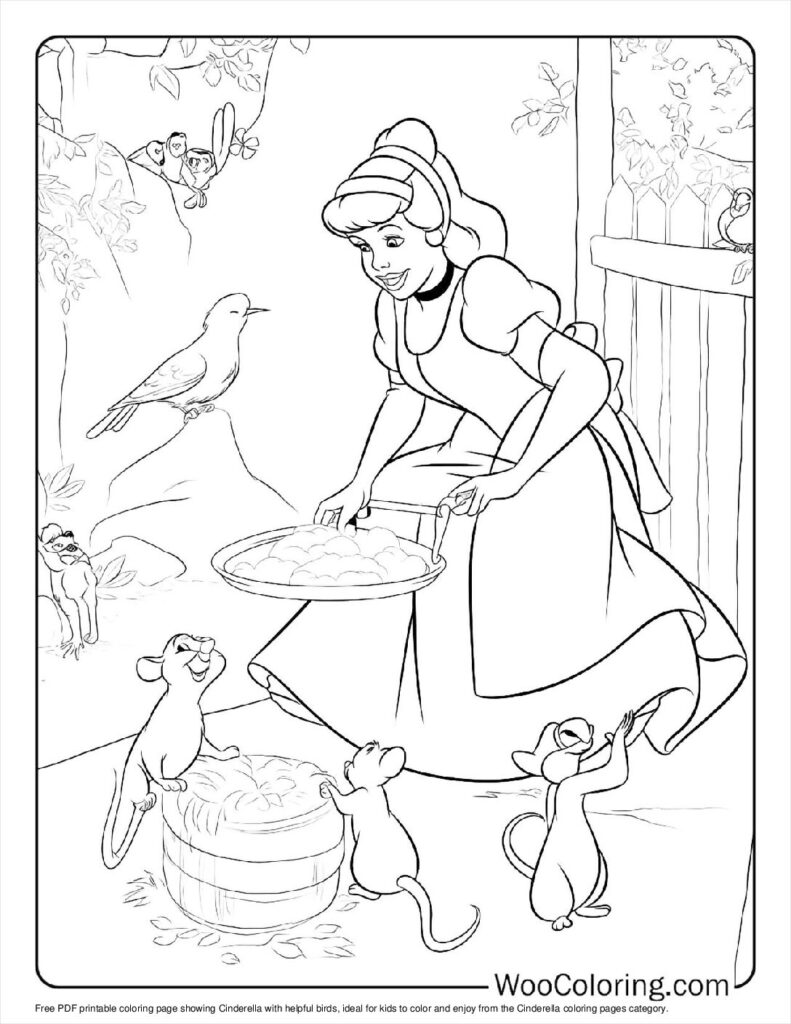 Birds Help Cinderella For Kids