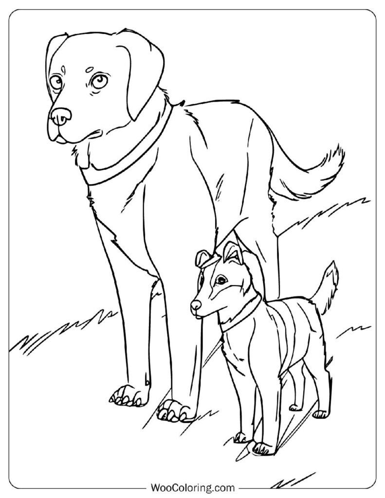 Labrador and Welsh Terrier Trying to Survive in the Dark World of The Plague Dogs