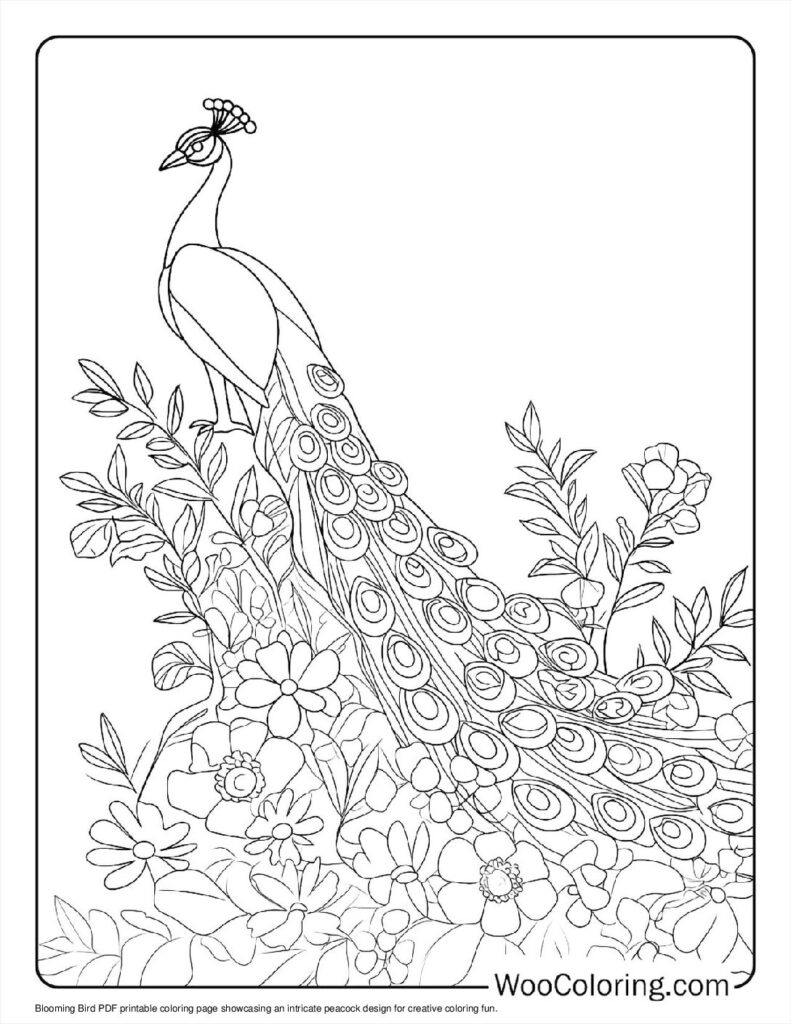 100  Peacock coloring pages  Free PDF To Print  - 6