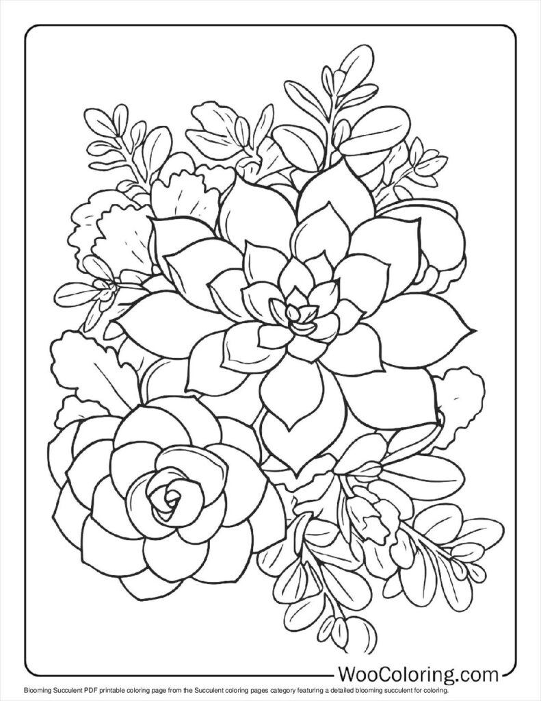 100  Succulent coloring pages  Free PDF To Print  - 70