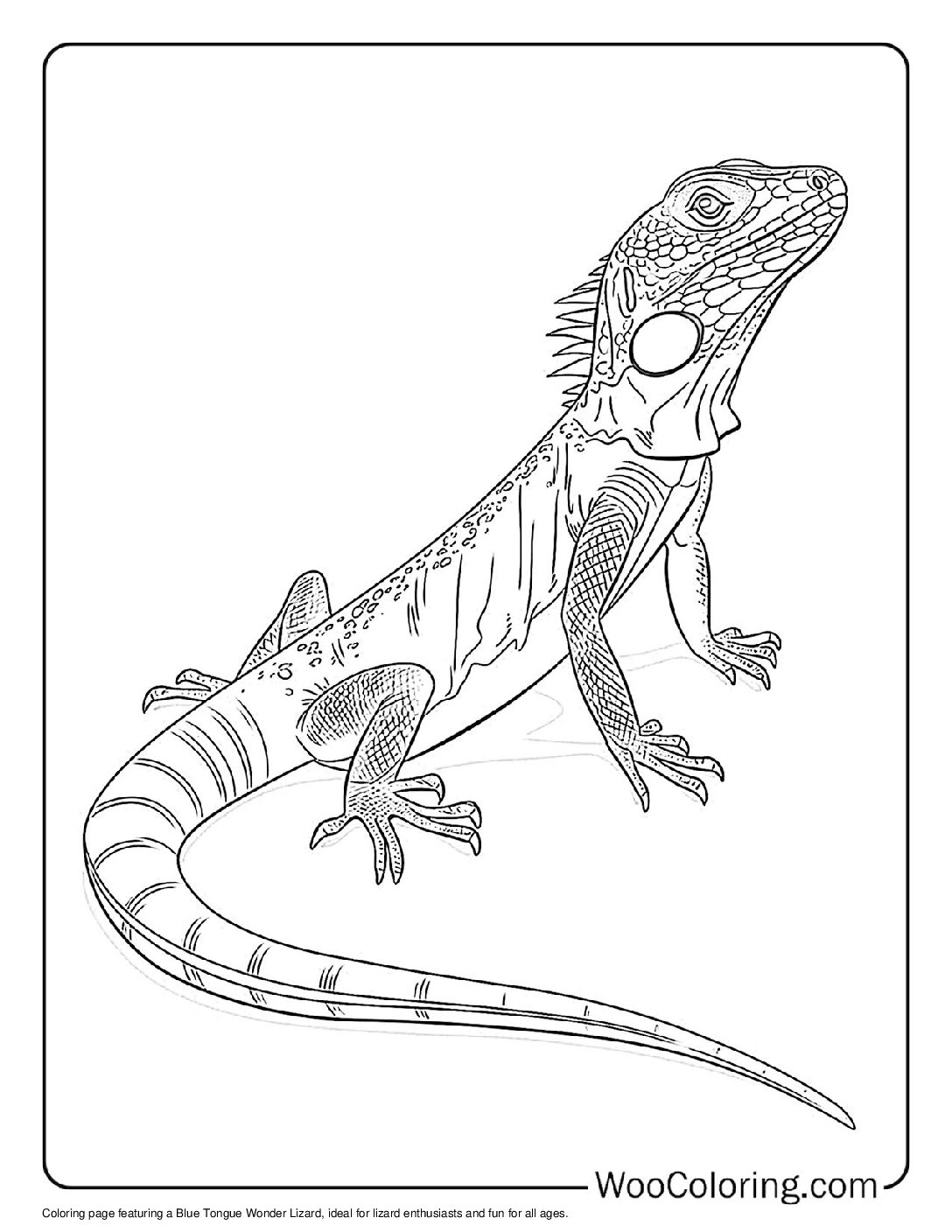 100+ Lizard coloring pages (Free PDF To Print) | Woo Coloring