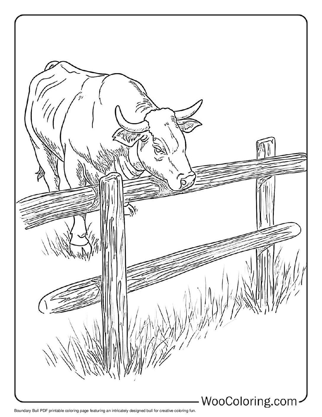 100+ Bull coloring pages (Free PDF To Print) | Woo Coloring