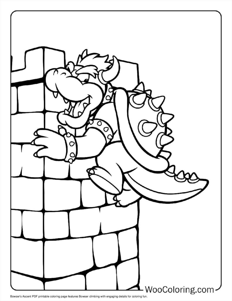 Bowser’s Ascent