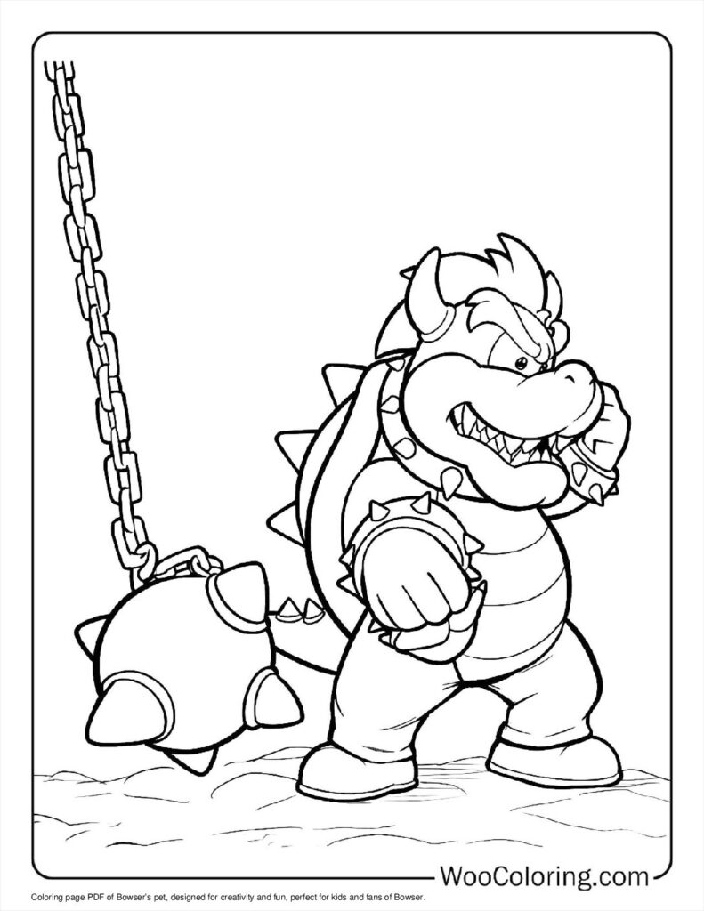 Bowser’s Pet