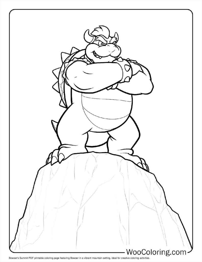 Bowser’s Summit