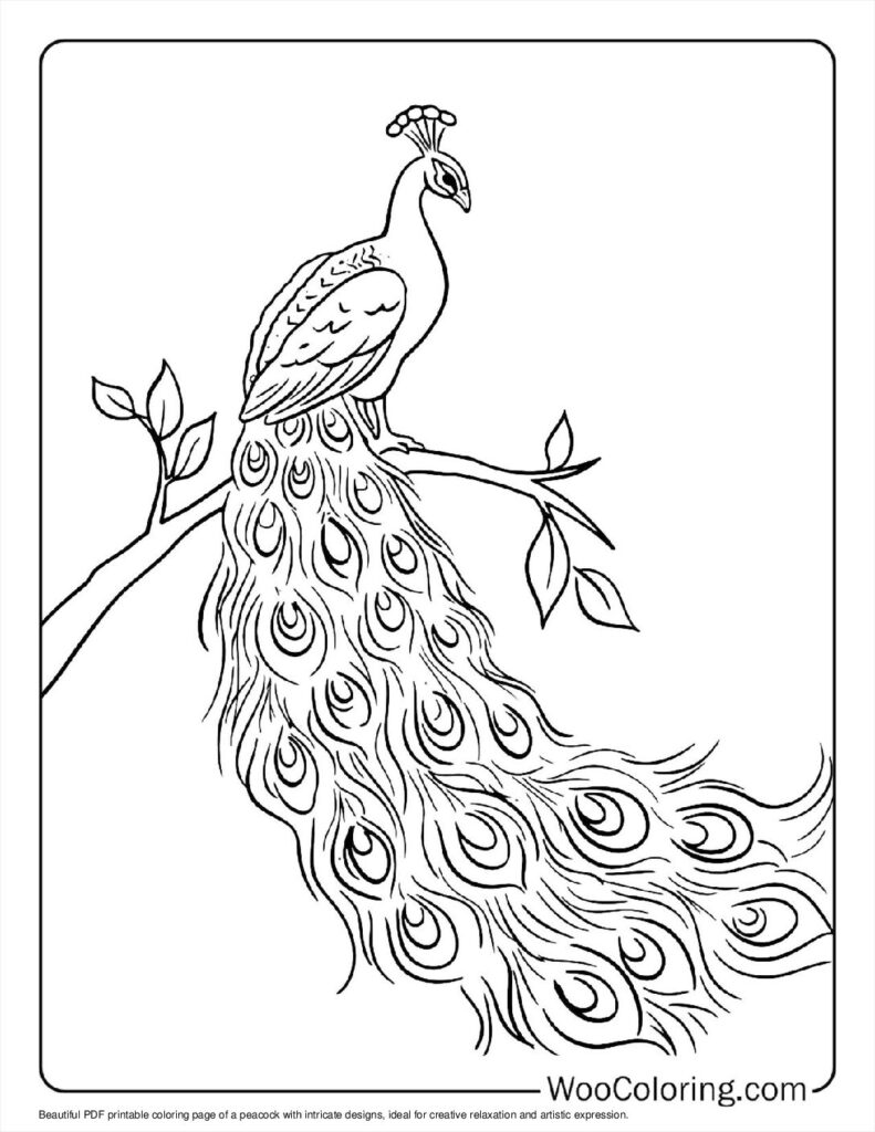 100  Peacock coloring pages  Free PDF To Print  - 70