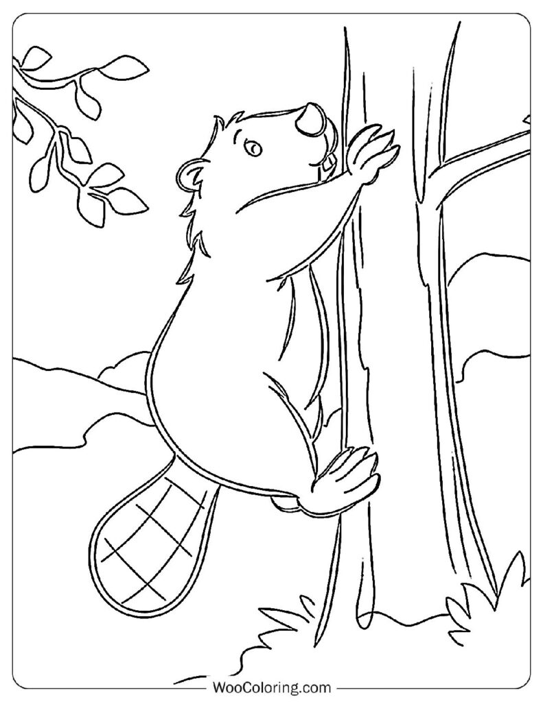 Branch Seeker