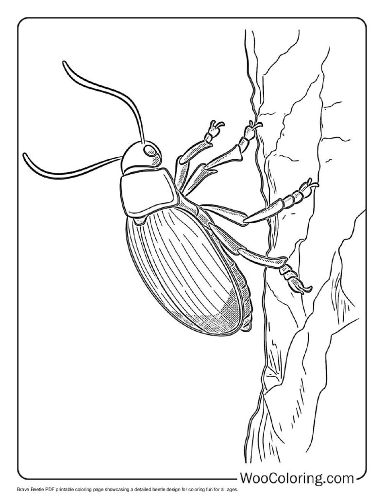 Brave Beetle