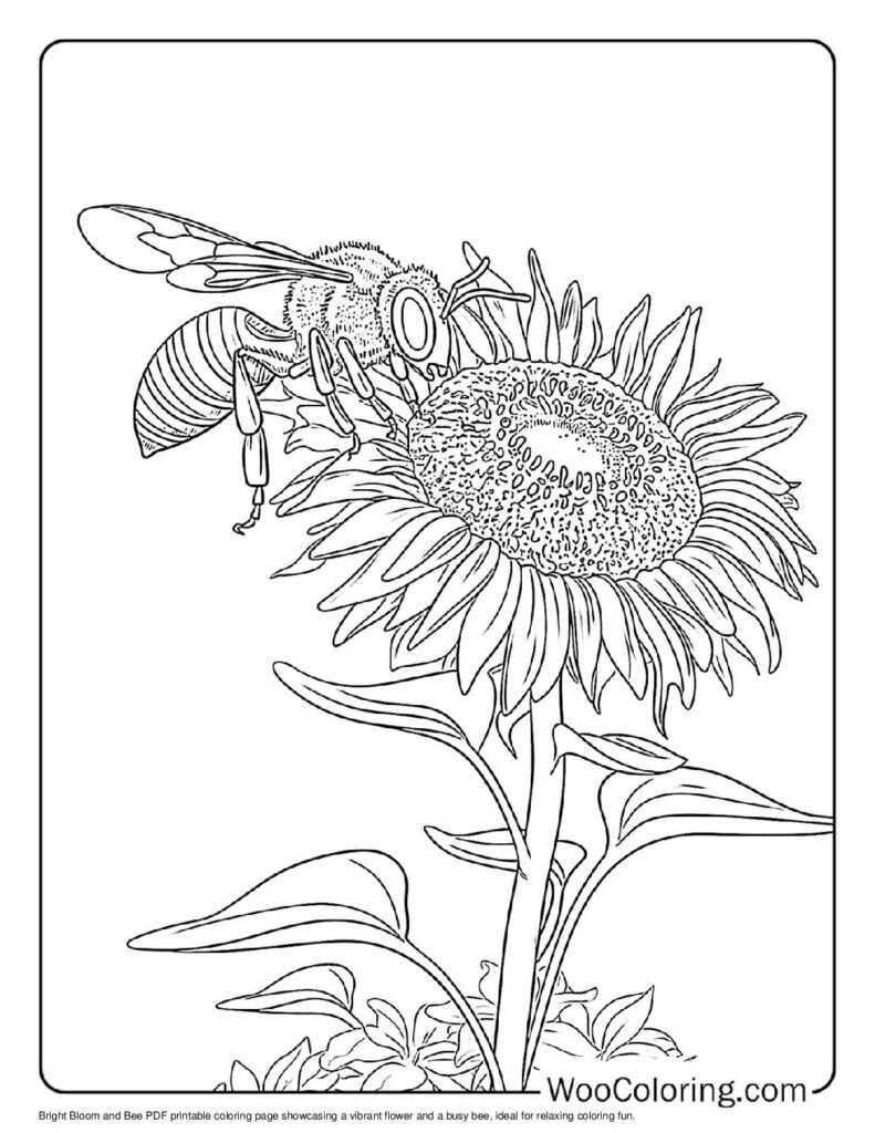 Bright Bloom and Bee
